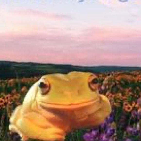 Meet your Posher, Erin - Picture 1 of 1